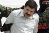 Négociations de la Famille Guzman : Une Nouvelle Époque pour le Cartel de Sinaloa?