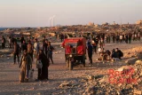 Bande de gaza : de nouvelles pertes tragiques, un appel à la paix et à l'humanité