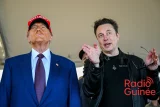 Elon Musk Et DOGE viseraient le bureau des droits d'auteurs des États-Unis ?