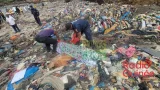 Matam : un appel urgent à la sécurité face à la montée de la drogue kush