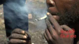 Épidémie de kush à conakry : la jeunesse de plus en plus touchée par un fléau inquiétant